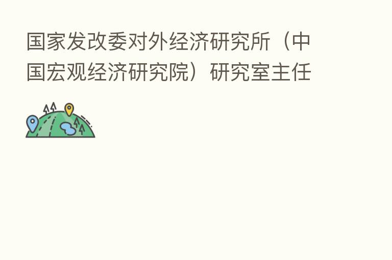 国家发改委对外经济研究所(中国宏观经济研究院)研究室主任王海峰:自贸区是新时代对外开放的典范