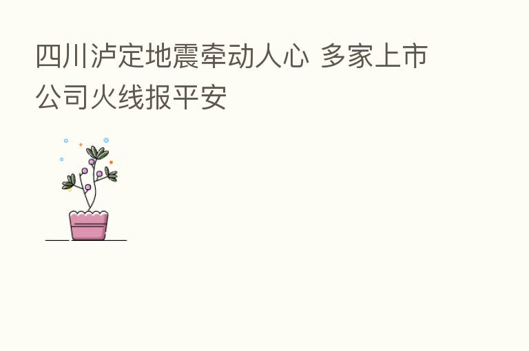 四川泸定地震牵动人心 多家上市公司火线报平安