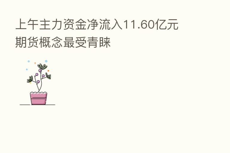 上午主力资金净流入11.60亿元 期货概念 受青睐