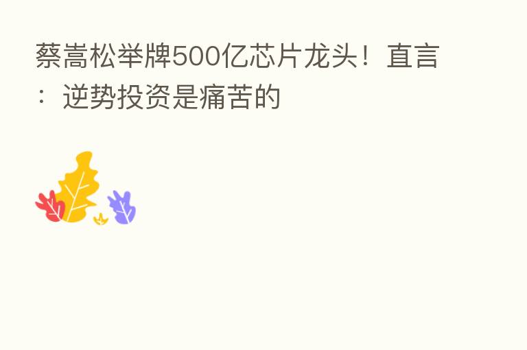 蔡嵩松举牌500亿芯片龙头!直言:逆势投资是痛苦的