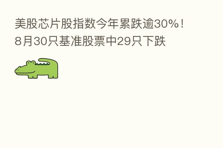 美股芯片股指数今年累跌逾30%！8月30只基准股票中29只下跌