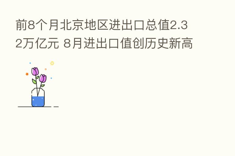 前8个月北京地区进出口总值2.32万亿元 8月进出口值创历史新高