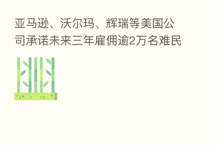 亚马逊、沃尔玛、辉瑞等美国公司承诺未来三年雇佣逾2万名难民
