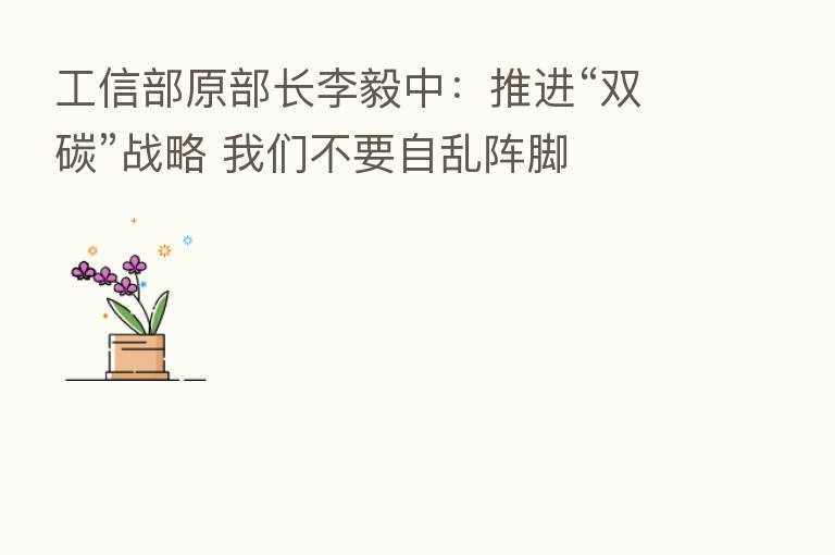 工信部原部长李毅中:推进“双碳”战略 我们不要自乱阵脚