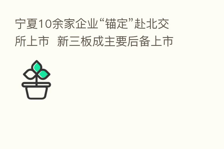 宁夏10余家企业“锚定”赴北交所上市 新三板成主要后备上市力量