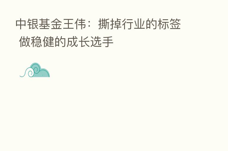 中银基金王伟:撕掉行业的标签 做稳健的成长选手