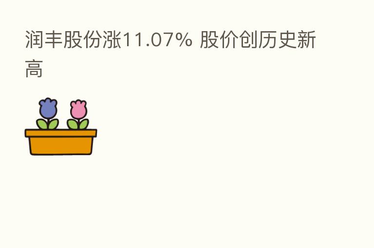 润丰股份涨11.07% 股价创历史新高