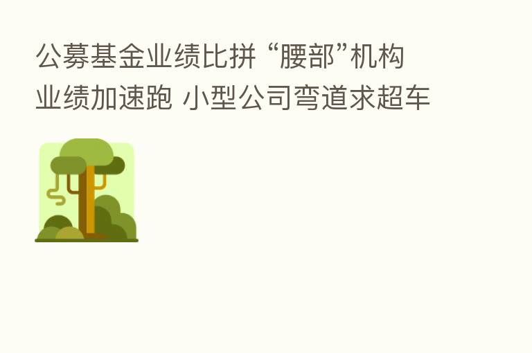 公募基金业绩比拼 “腰部”机构业绩加速跑 小型公司弯道求超车