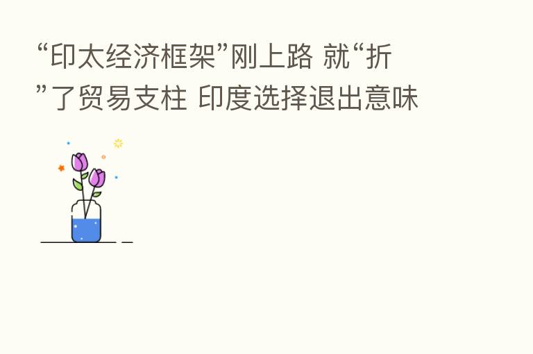 “印太经济框架”刚上路 就“折”了贸易支柱 印度选择退出意味着什么?