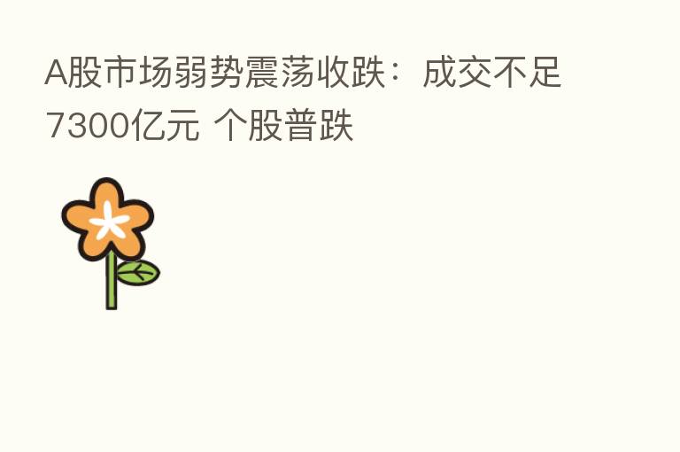 A股市场弱势震荡收跌:成交不足7300亿元 个股普跌