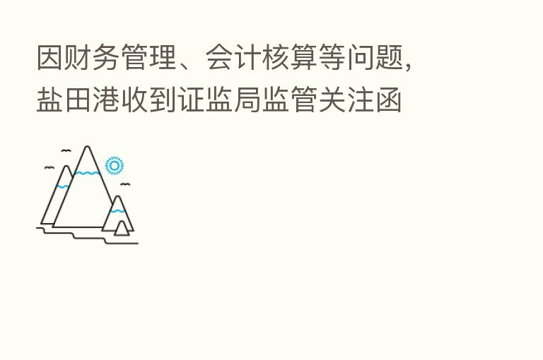 因财务管理、会计核算等问题,盐田港收到证监局监管关注函