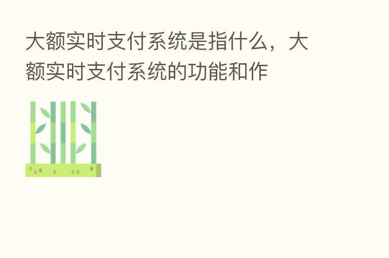 大额实时支付系统是指什么,大额实时支付系统的功能和作