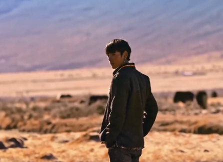 “丁真现象”被编剧炮轰