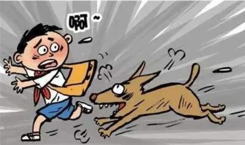 3岁男童被邻居看门狗咬死