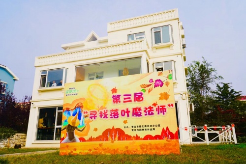 用落叶玩转秋日之美 青岛启动 三届“寻找落叶魔法师”活动 一等奖可获3120元现金