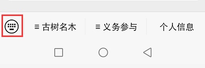 用落叶玩转秋日之美 青岛启动   三届“寻找落叶魔法师”活动 一等奖可获3120元现金