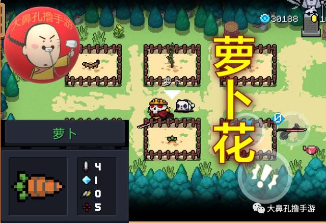 元气骑士植物图鉴,元气骑士新   26颗元气种子介绍