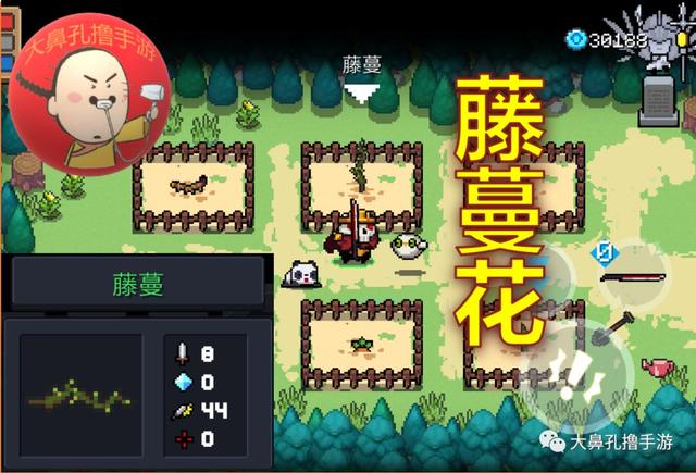 元气骑士植物图鉴,元气骑士新   26颗元气种子介绍