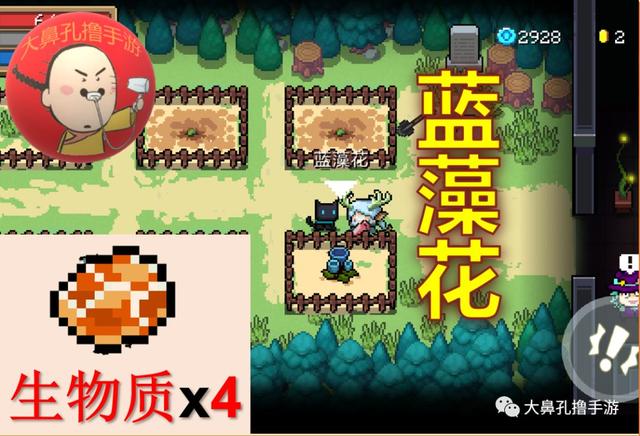 元气骑士植物图鉴,元气骑士新   26颗元气种子介绍