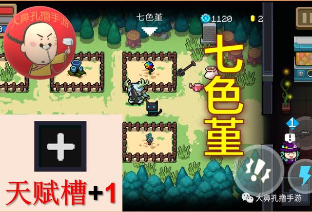 元气骑士植物图鉴,元气骑士新   26颗元气种子介绍