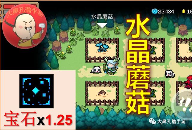 元气骑士植物图鉴,元气骑士新   26颗元气种子介绍