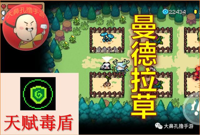 元气骑士植物图鉴,元气骑士新   26颗元气种子介绍