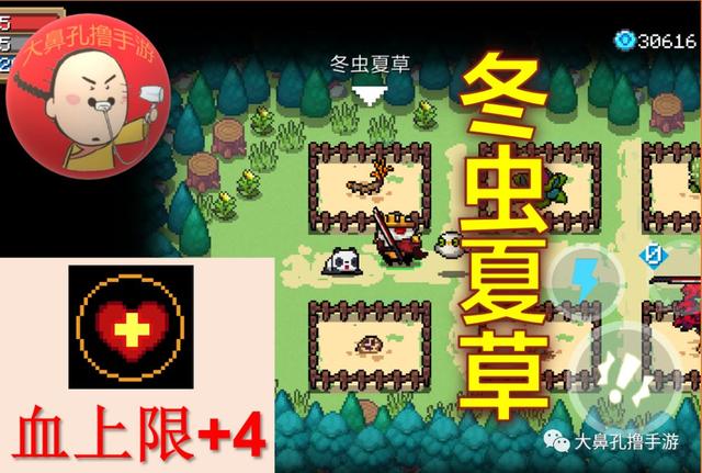 元气骑士植物图鉴,元气骑士新   26颗元气种子介绍