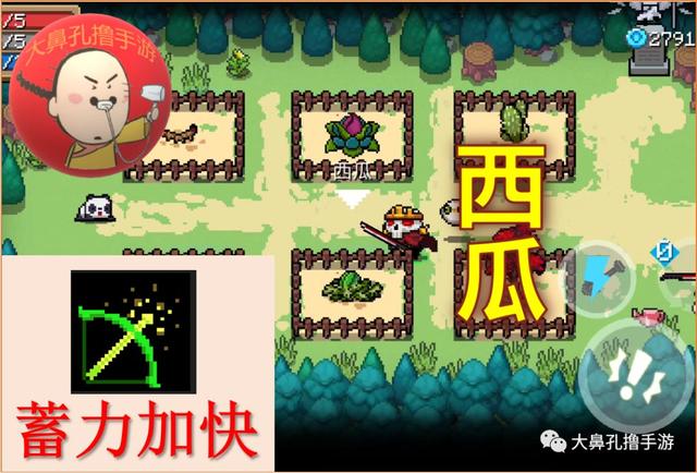 元气骑士植物图鉴,元气骑士新   26颗元气种子介绍