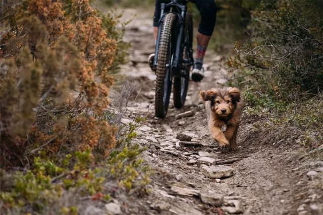 specialized山地车,Specialized这十三款山地车该怎么选