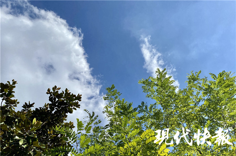 新一周晴冷开场，漫画天继续！20日新一轮冷空气到货，洗晒抓紧