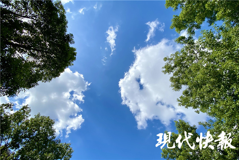 新一周晴冷开场，漫画天继续！20日新一轮冷空气到货，洗晒抓紧