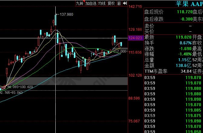 全球市值 高的公司是哪一家,全球市值 高出现的原因