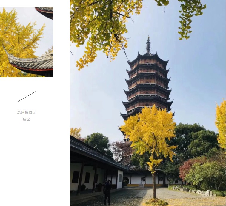 报恩寺 I 承载历史之光，延续感恩之心