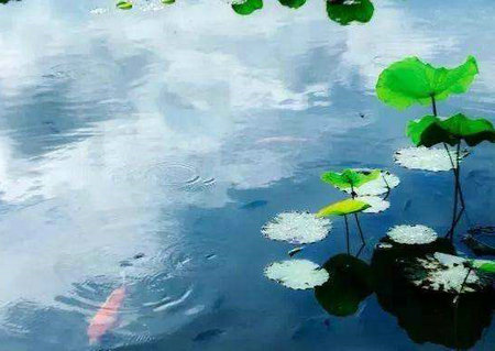 学会急流勇退、看淡放下，才能活得随缘舒适