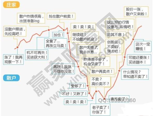 新手炒股为什么会亏前,新手炒股应该怎么办