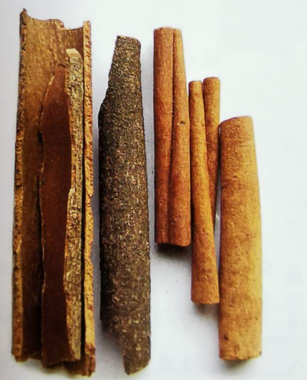桂皮是什么,香料桂皮的功效与作用