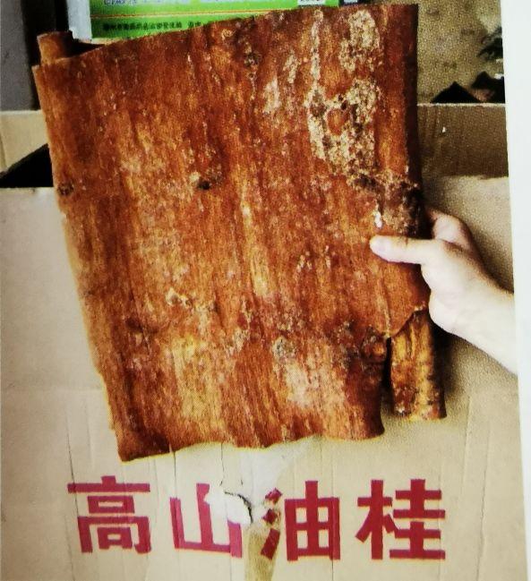 桂皮是什么,香料桂皮的功效与作用