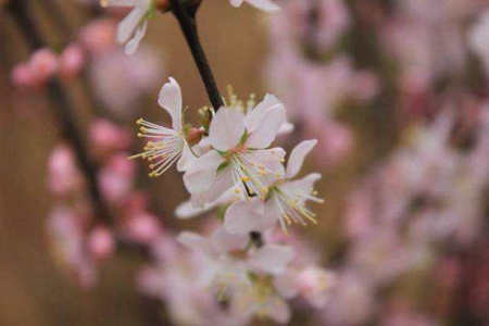 人生即将谢幕时,就会发现曾经觉得重要的东西其实可有可无