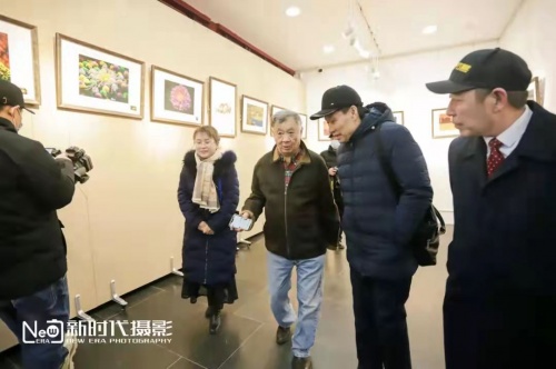 云图片