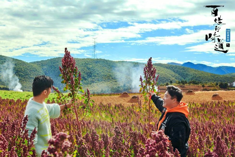《百姓的味道》谢霆锋巩立姣解锁丽江“花样”美味