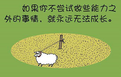 有哲理的句子带照片:人生 难吃的三碗面——人面、情面、场面