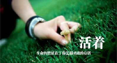 人生感悟哲理的句子