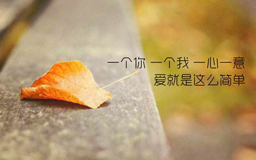 爱情人生哲理的句子,有关于爱情的哲理句子