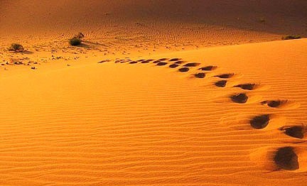 富含哲理的句子