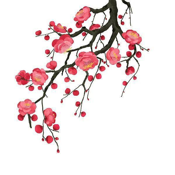 是花朵就要努力绽放:《人世间》的女性花语