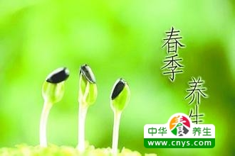春天养生的秘密 让大量人了解