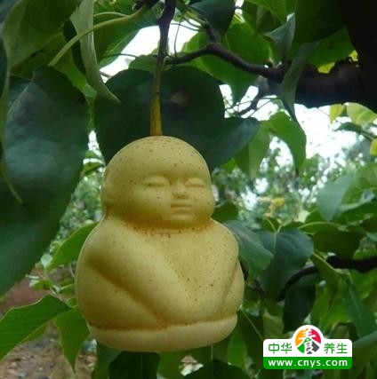 不必错过了啦 春季易吃这八种营养成分果