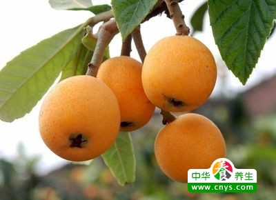 不必错过了啦 春季易吃这八种营养成分果