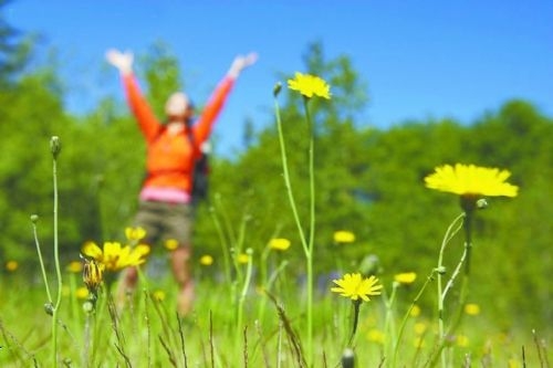 麦粒肿多发季 警醒四个缘故防止发作