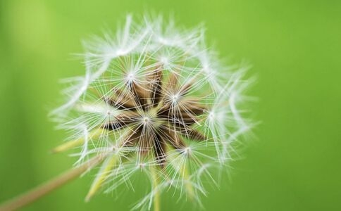 这八件事是春天养生的忌讳 你却一直在做